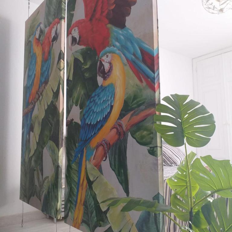 Tropical Loft - Apartamento de 1 dormitorio - 1