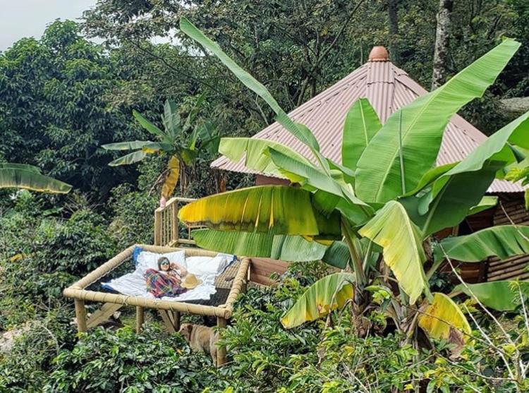 Monte Mágico - Bungalow - 5