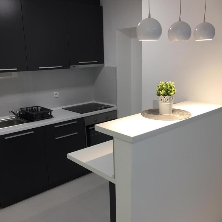CENTRAL APARTMENT - Apartman sa 2 Spavaće Sobe - 11