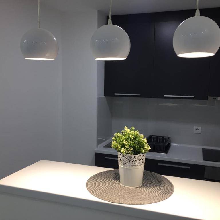 CENTRAL APARTMENT - Apartman sa 2 Spavaće Sobe - 12
