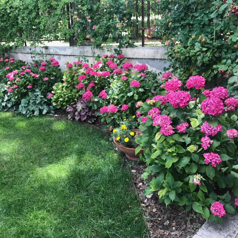 Il Giardino della Fortezza - Appartamento con 2 Camere da Letto - 17