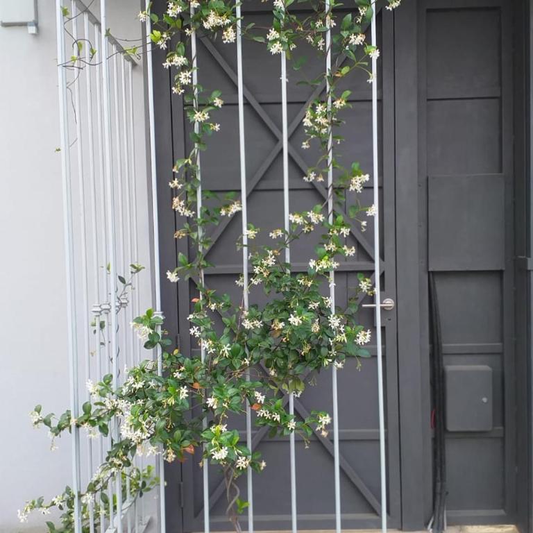 Las Toscas Apart - Apartamento - 2