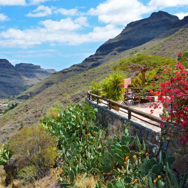 Finca Las Olivas - Unique country house with heated pool - Casa de 2 dormitorios - 4