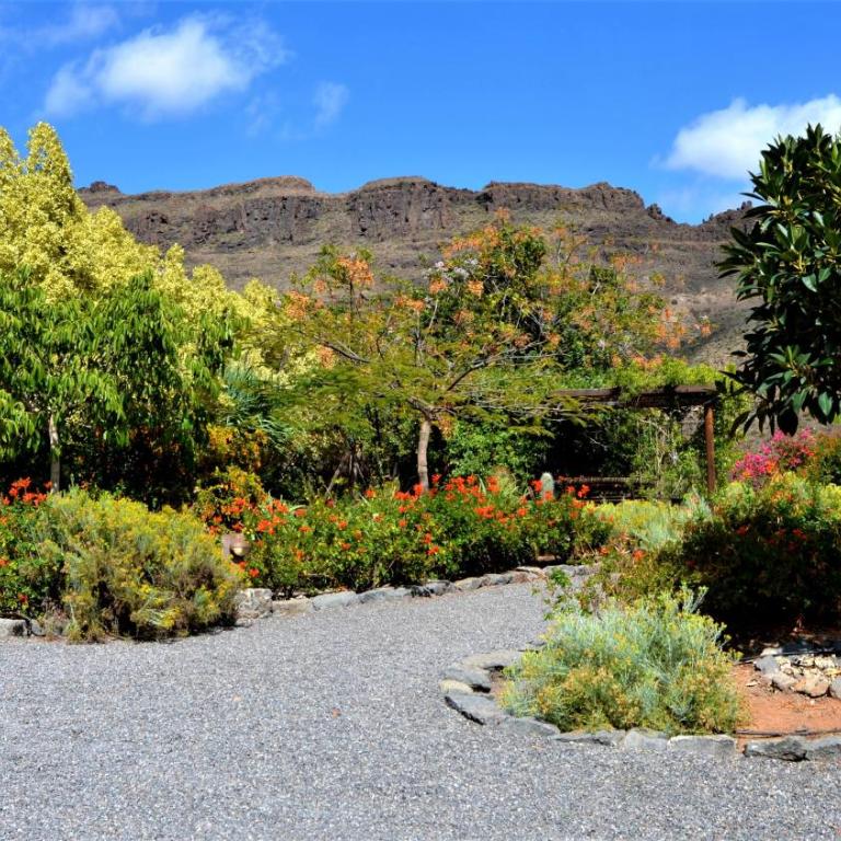 Finca Las Olivas - Unique country house with heated pool - Casa de 2 dormitorios - 39