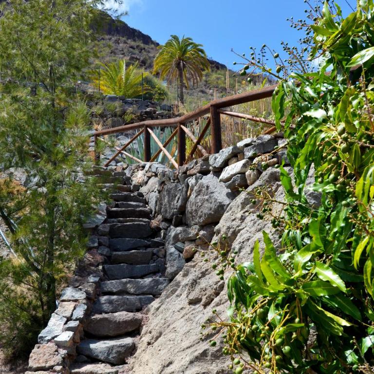 Finca Las Olivas - Unique country house with heated pool - Casa de 2 dormitorios - 35