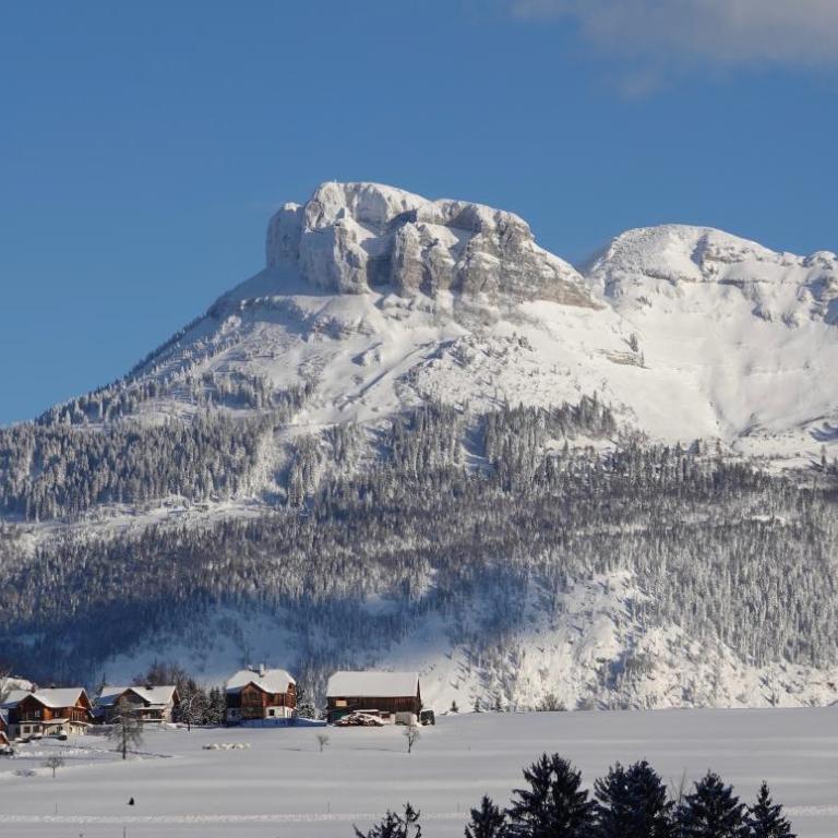 Ferienwohnung Kirchschlager Zirbenholz & ruhige Lage im Ausseerland - Apartamento de 1 dormitorio - 53