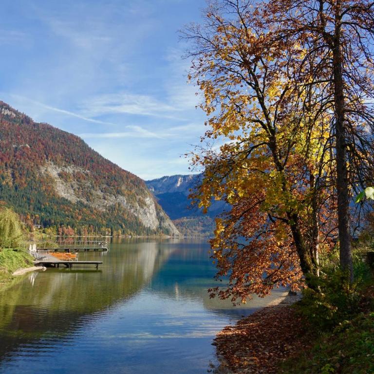 Ferienwohnung Kirchschlager Zirbenholz & ruhige Lage im Ausseerland - Apartamento de 1 dormitorio - 43