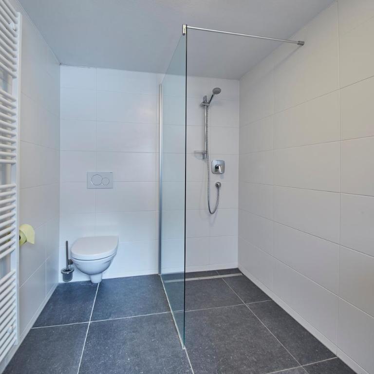 Glemm Lodge Apartments - JOKER CARD im Sommer inklusive - Apartment - 40