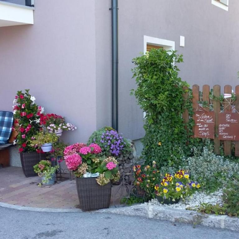 Apartment Hochkönigblick Pilzegg - Apartment mit 2 Schlafzimmern - 28