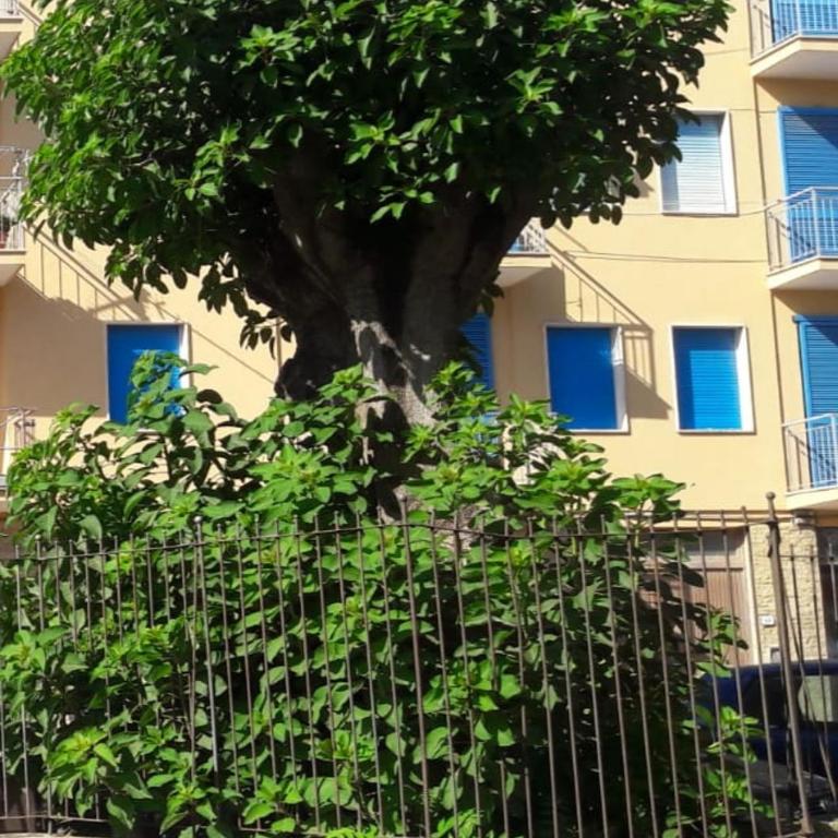 ELEGANTISSIMO APPARTAMENTO DIRETTAMENTE SUL MARE SPIAGGIA LE GHIAIE 6 posti letto - Three-Bedroom Apartment - 17