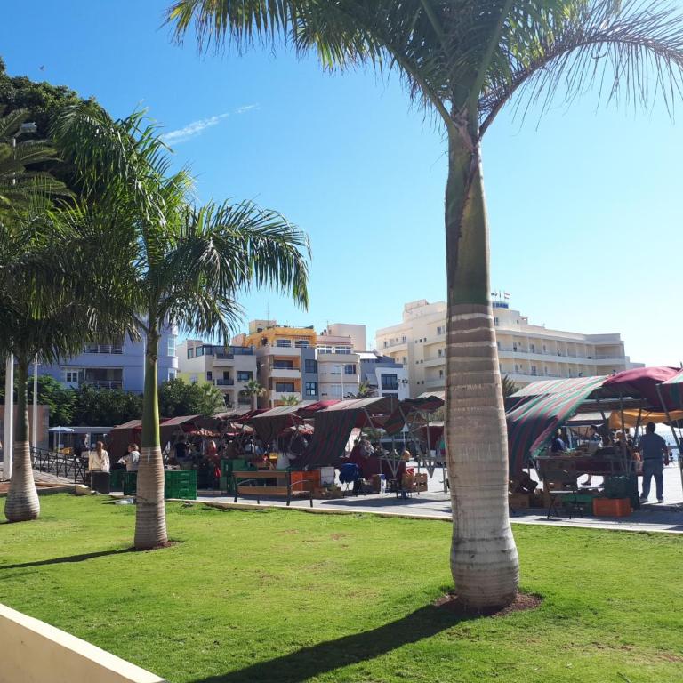 Apartamentos Medano - Estrella del Mar - Apartamento con vistas a la piscina - 25