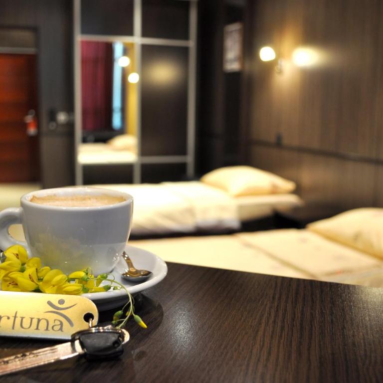 Hotel Fortuna - Dvokrevetna Soba sa Zasebnim Krevetima - 9