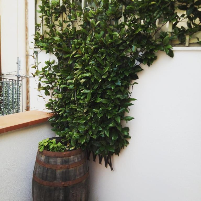 Il terrazzino sul Kemonia - Two-Bedroom Apartment - 45