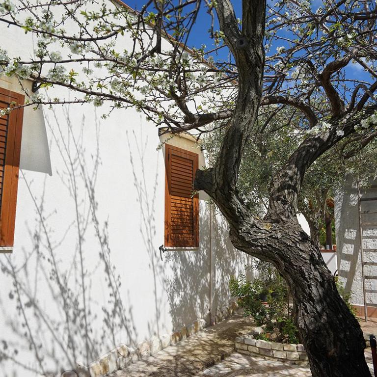 Villa Caterina Scopello - Appartamento con 3 Camere da Letto - 15