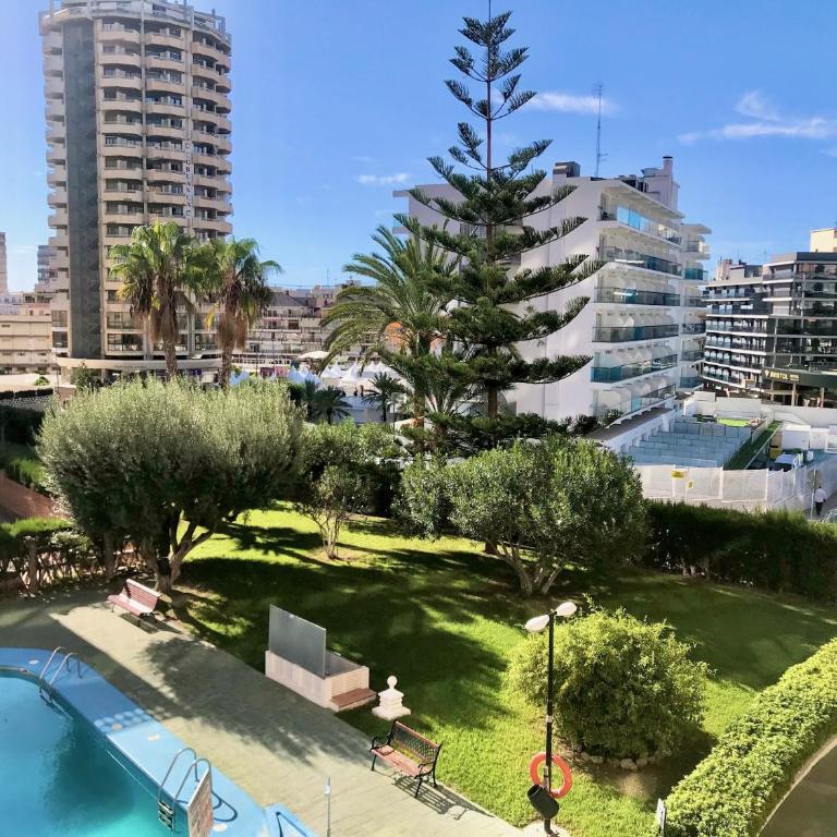 Albaida Apartment - One-Bedroom Apartment - 3