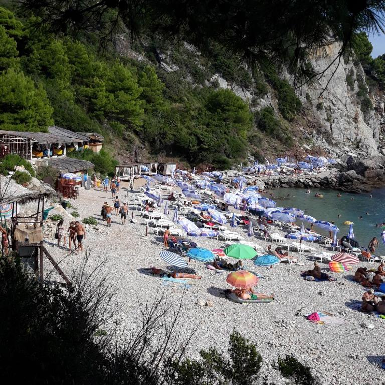 Apartments Jovanic with 2 bedrooms - Vila sa Pogledom na More - 4