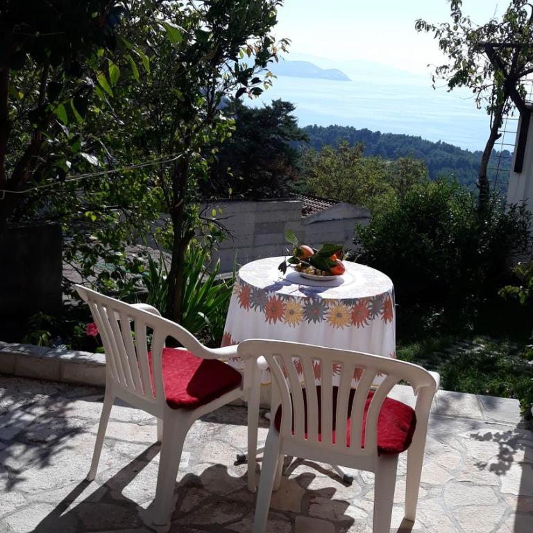 Apartments Jovanic with 2 bedrooms - Apartman - Prizemlje - 9