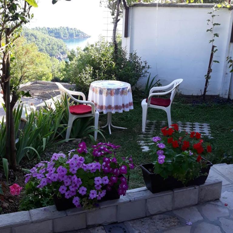 Apartments Jovanic with 2 bedrooms - Apartman - Prizemlje - 8