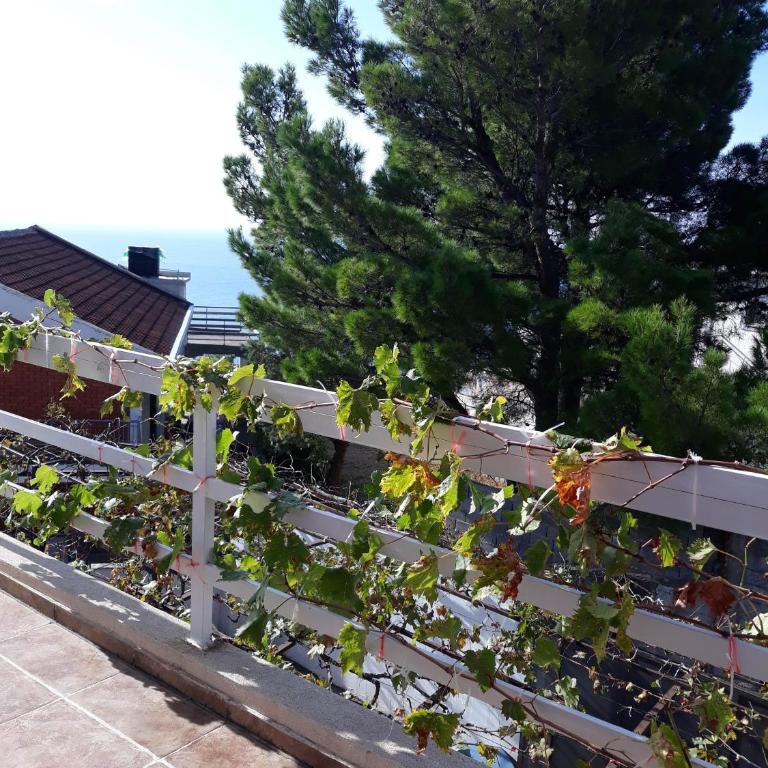 Apartments Jovanic with 2 bedrooms - Penthaus Apartman - 10