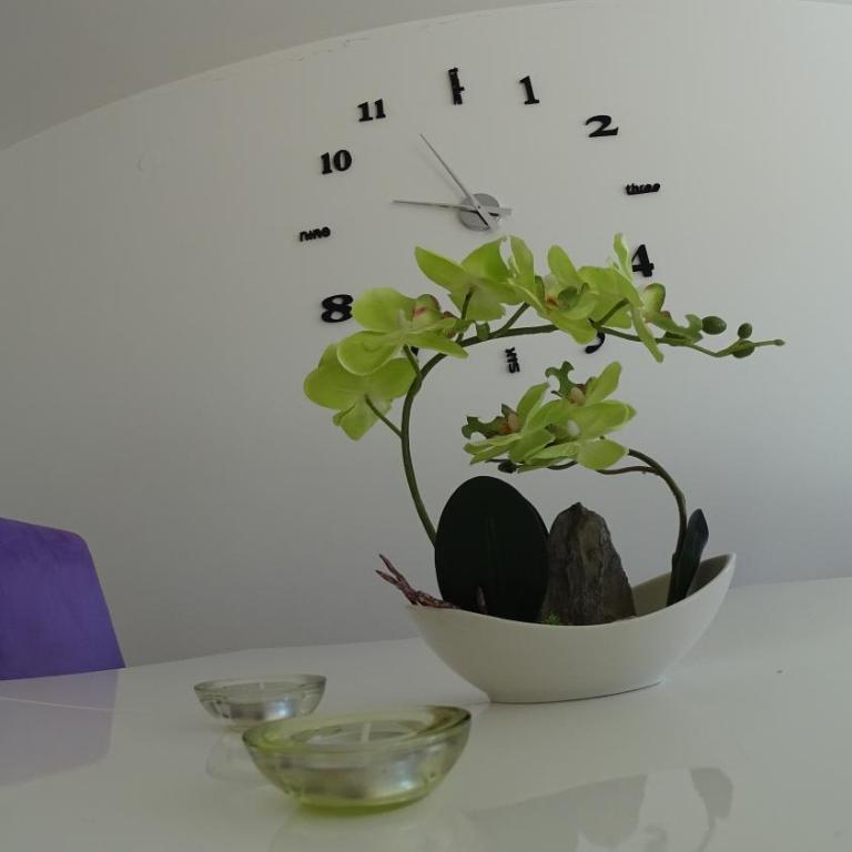 IT Apartment - Apartman sa 2 Spavaće Sobe - 21
