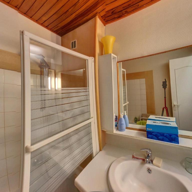Appartement 8 Pers Centre Station Carroz (ARA32) - Apartment - 15