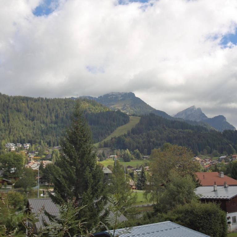 Chalet Beau Tanik 8 Pers aux Carroz (CHBOT) - Chalet - 22
