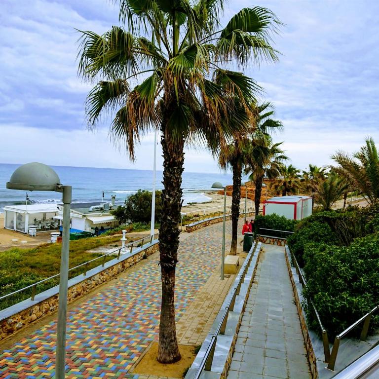 Apartament SENA Playa Flamenca - Apartment mit Meerblick - 1