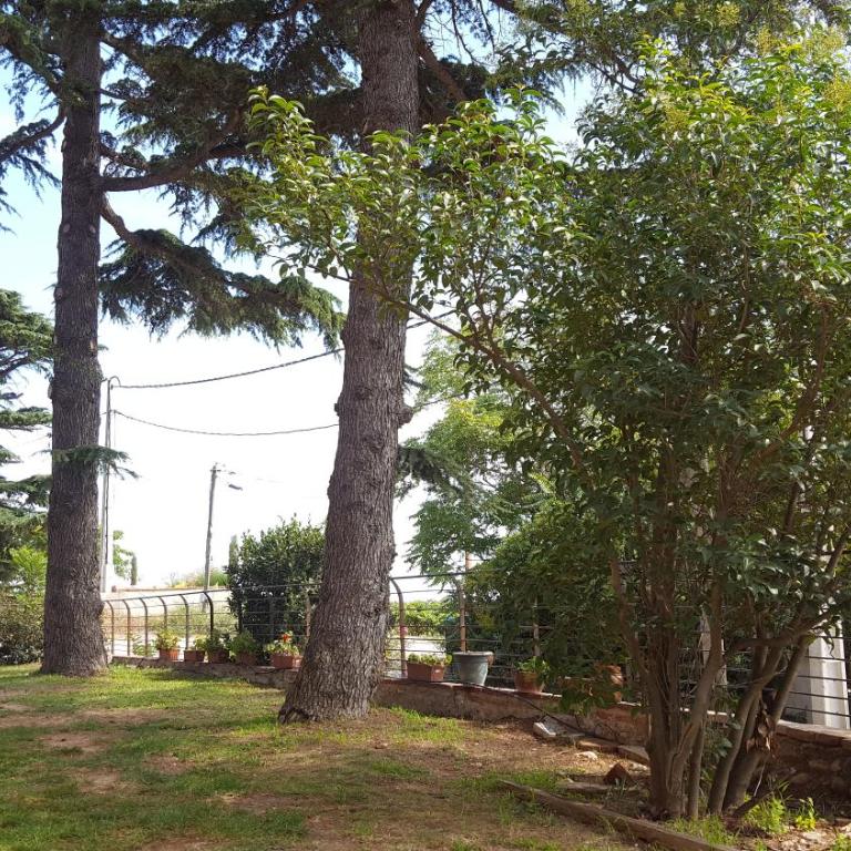 Mas Miraflors - Three-Bedroom House - 14