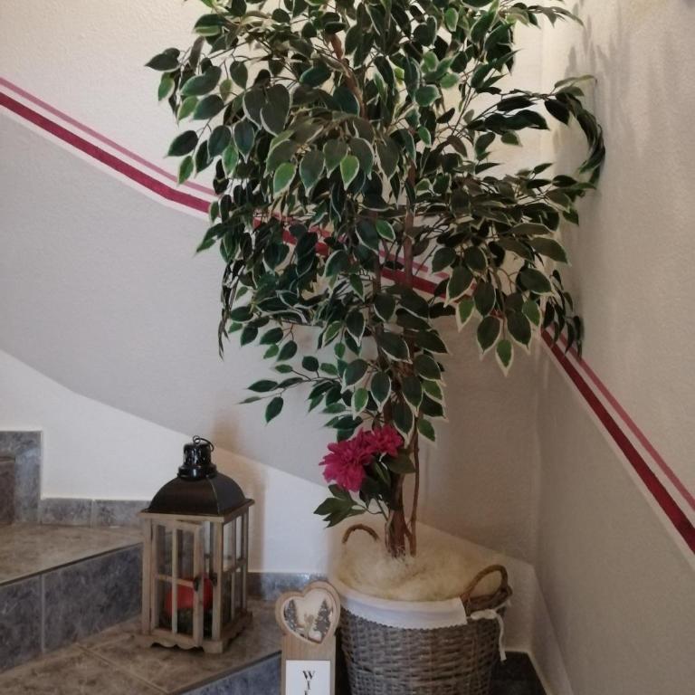 Ferienwohnung Steinberger - Apartment mit 1 Schlafzimmer und Terrasse - 28