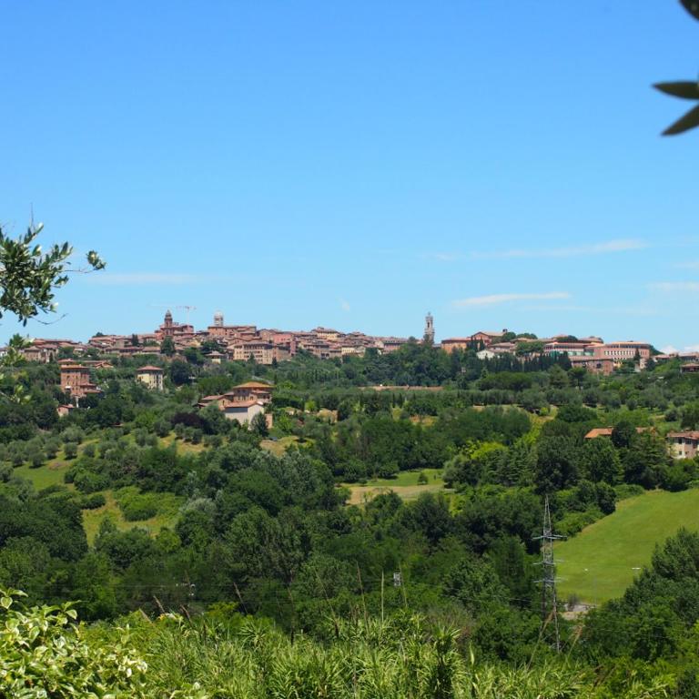 Nell'Antica Torre di Fronte a Siena - Appartamento con 3 Camere da Letto - 1