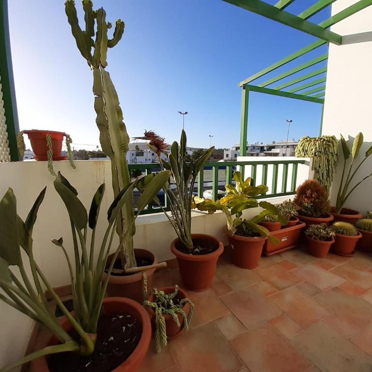 Apartamento Arena - Two-Bedroom Apartment - 21