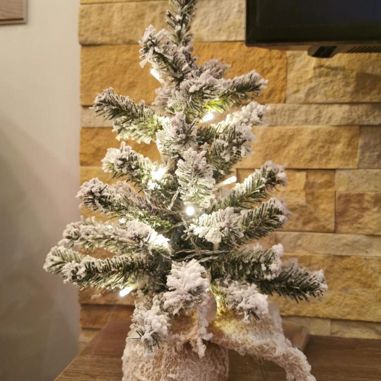 Premier 24 Milmari Kopaonik - Studio - 6