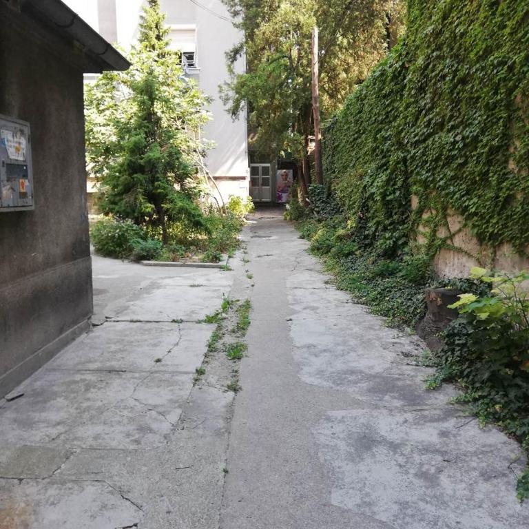 Apartman Pocerac - Apartman - 23