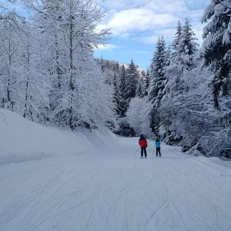 Chalet Apartment Oz Station 4 star T3 well equipped & next to pistes - Appartement 2 Chambres - 19