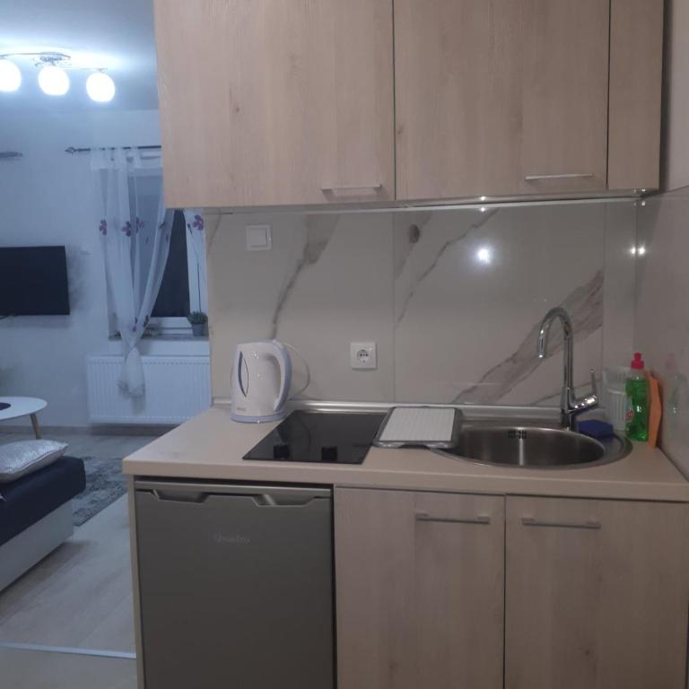 Apartman Mango Banja Luka center hospital Free parking - Apartman sa 2 Spavaće Sobe - 14