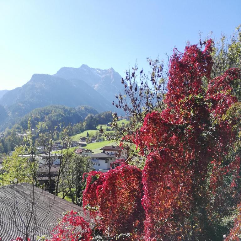 Landhaus Seiringer Apartments - Apartment mit 2 Schlafzimmern und Bergblick - 19