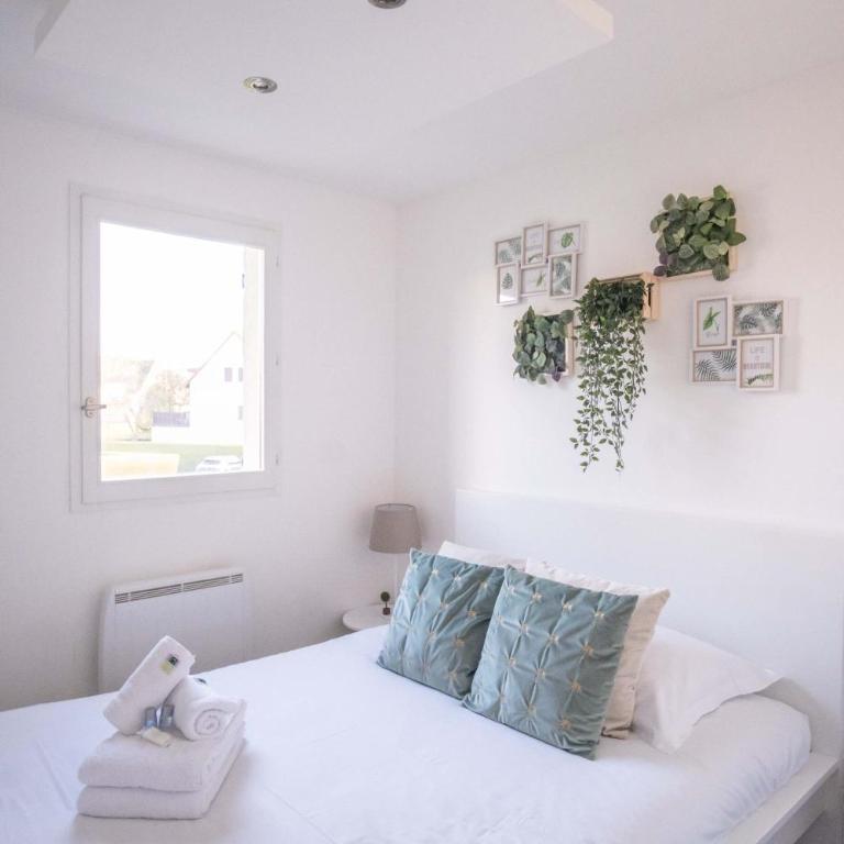 Appartement Cocooning à Cabourg - Les locations de Proust - Apartamento de 1 dormitorio - 17