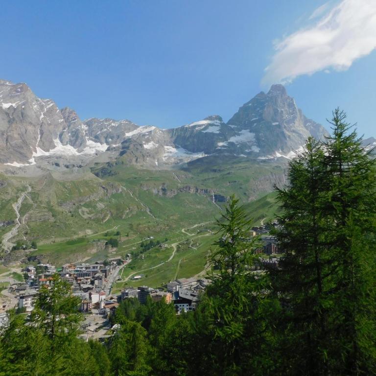 il gioiello di Cervinia - Appartamento Attico - 17