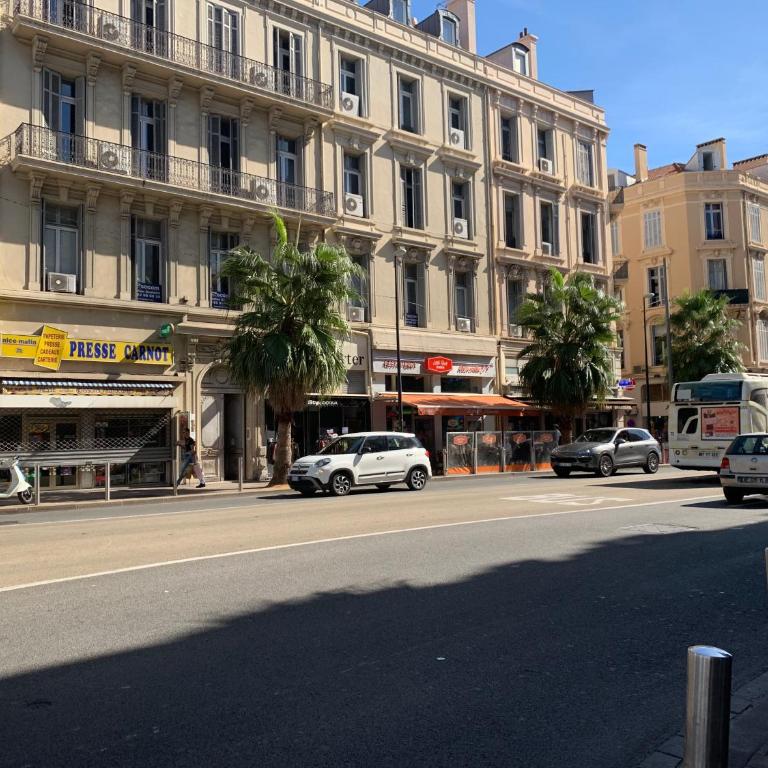 Nature 2 pièces 3 étoiles calme plein centre cannes 5 mn des plages et Palais - Appartement - 15