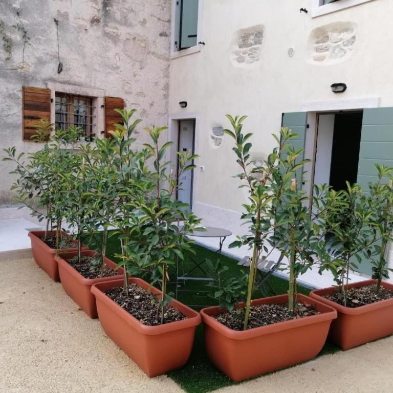 Agriturismo Le Anze - Appartement - Rez-de-Chaussée - 7