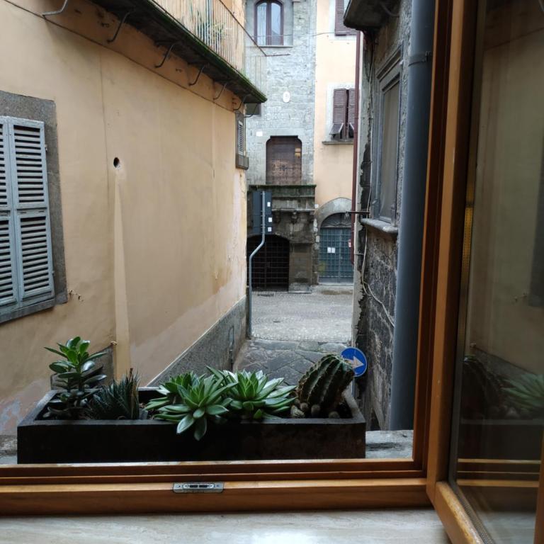 CASA ANNIO Holiday Viterbo - Appartamento Familiare con 1 Camera da Letto - 20