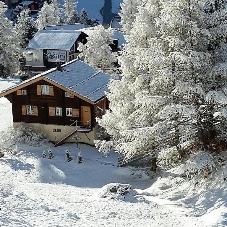 Chalet Samson - Appartement 3 Chambres - 25