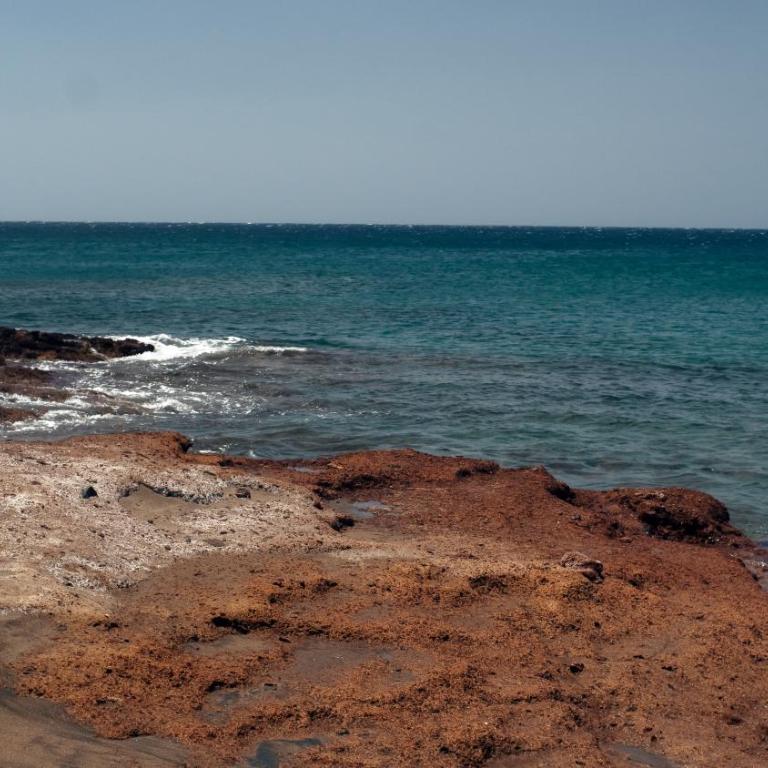Okeanos sea view 2 bedrooms VR-M - Apartment - 38