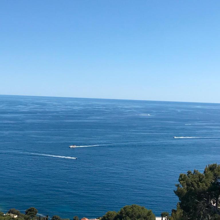 COSTA PLANA COLLECTION - Cap d'Ail - Monaco - Penthouse (212) - Vue sur Mer - 25