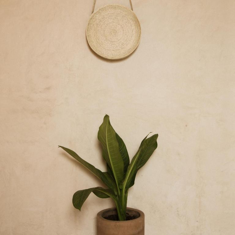 Casa Montore by Barrio Mexico - Habitación Doble Estándar - 16