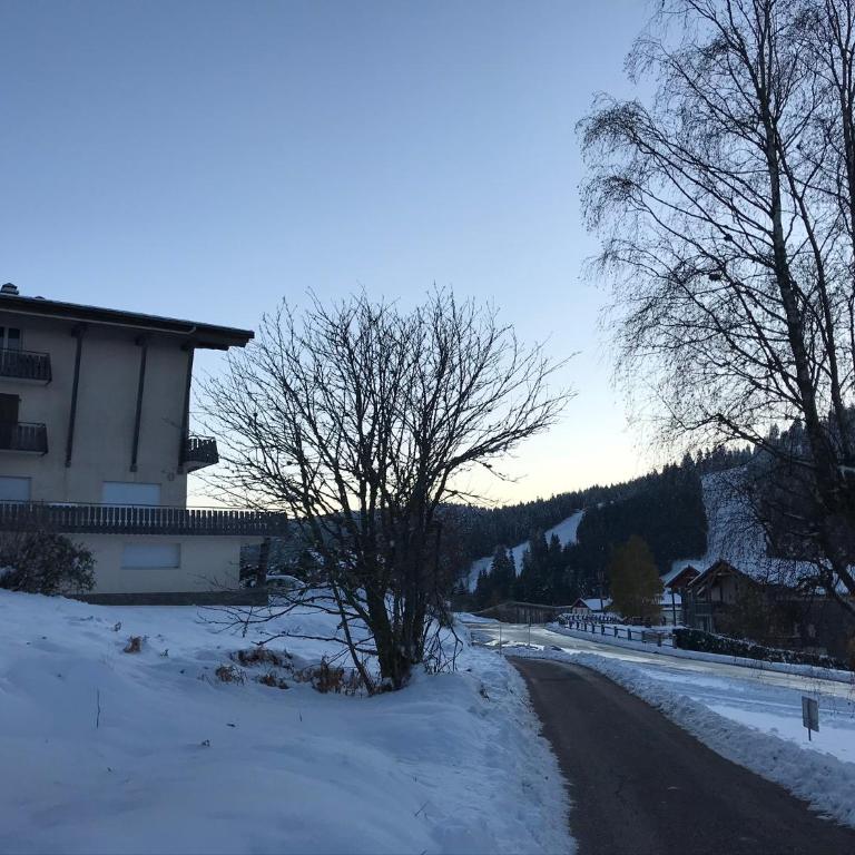 Appartement 6 pers - Les 4 Loups au pied des pistes - Appartement 2 Chambres - 1