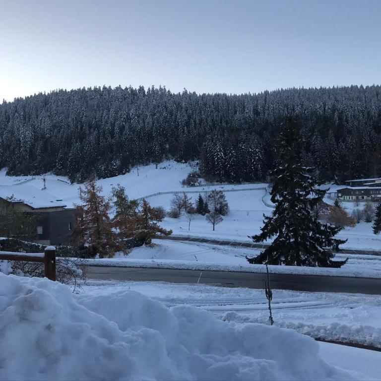Appartement 6 pers - Les 4 Loups au pied des pistes - Appartement 2 Chambres - 17