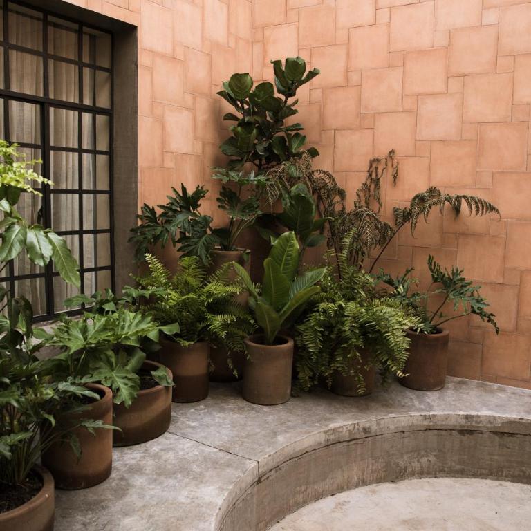Casa Montore by Barrio Mexico - Habitación Cuádruple Confort - 11
