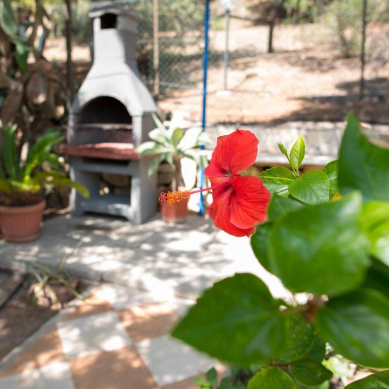 Two room apartment near the beach 2 - Apartment - 34