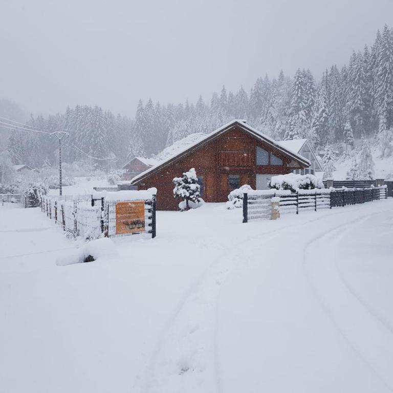 Chalet tout confort 'Le Grand Pré', terrain clôturé, garage - Chalet 3 Chambres - 24